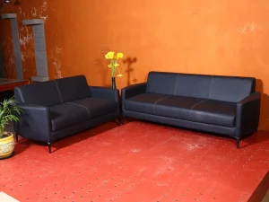 Elena (2 & 3 Seater) Sofa | Dbarn By Assa The Furniture Shop